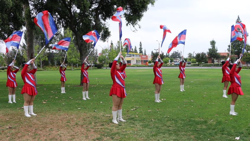 Tall Flags