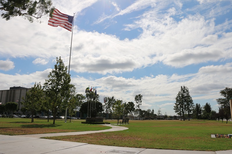 Civic Center Lawn