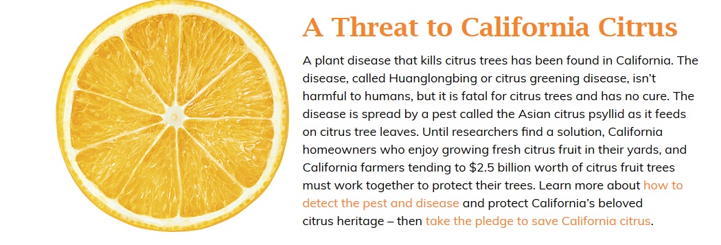 Citrus Disease News Header