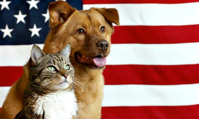 Free Veteran Pet Adoption