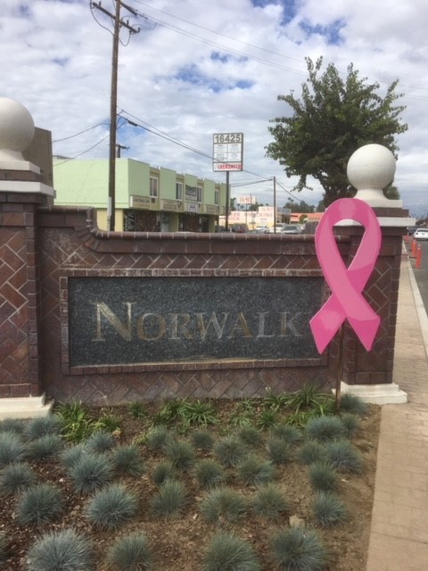 Pink Ribbon - Entry Monument